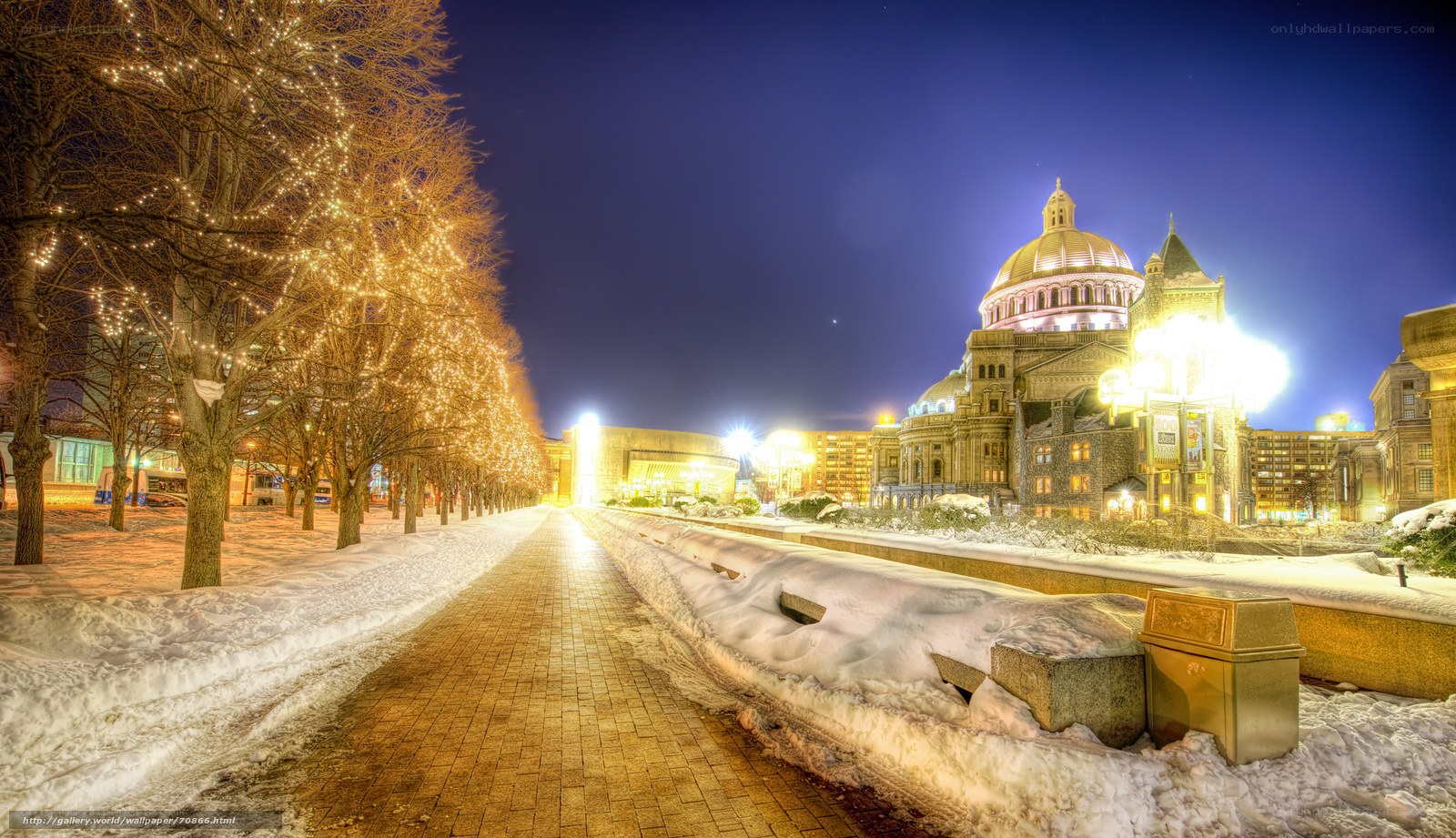 Snowy night with illuminated trees