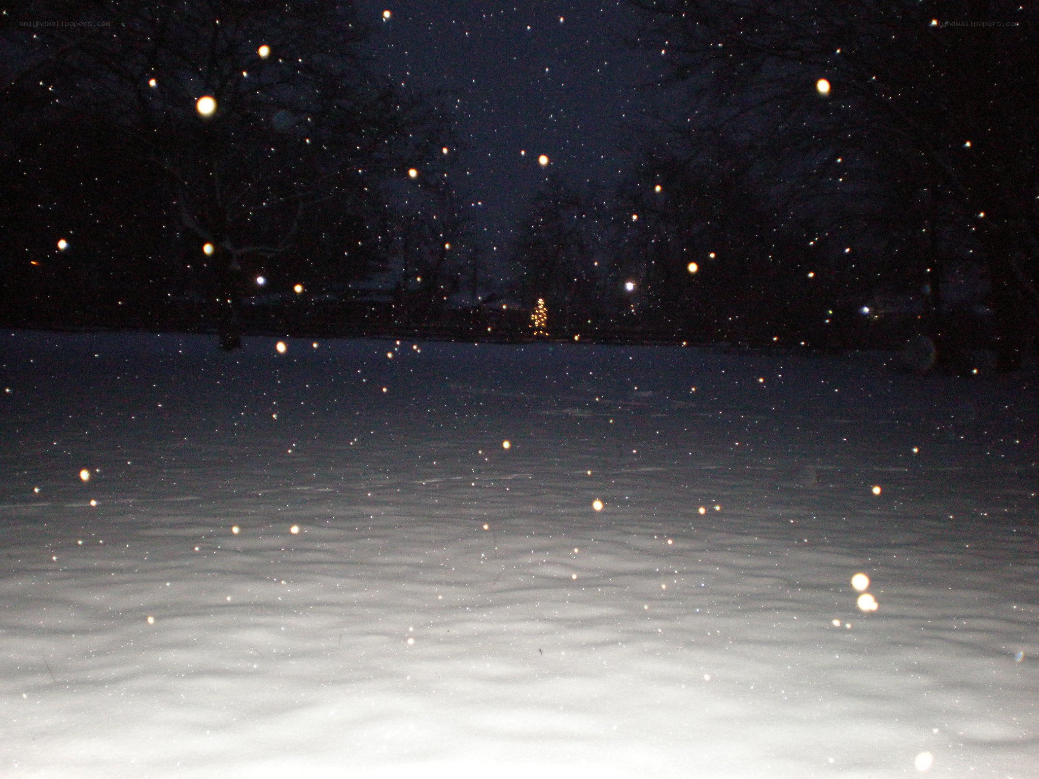 Snowy night with lights