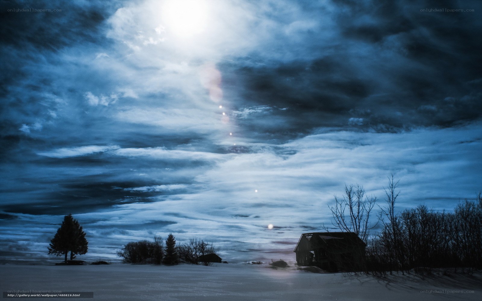 Snowy night with moonlight