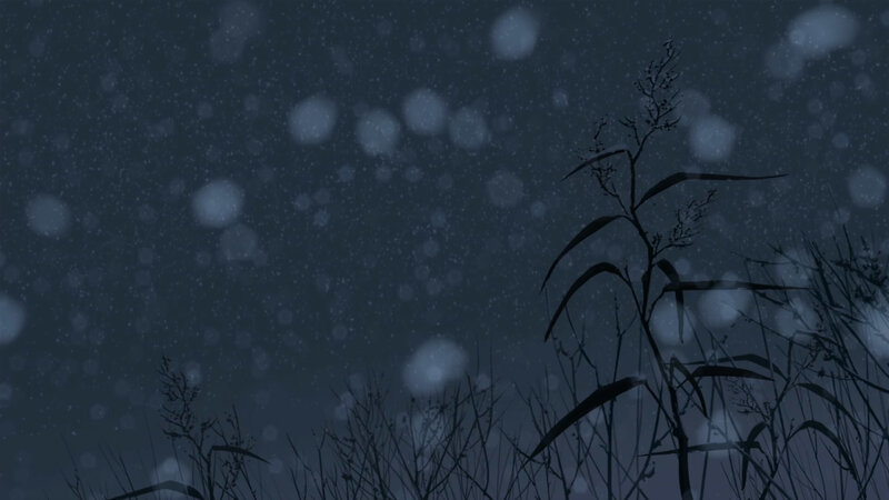 snowy night with plants