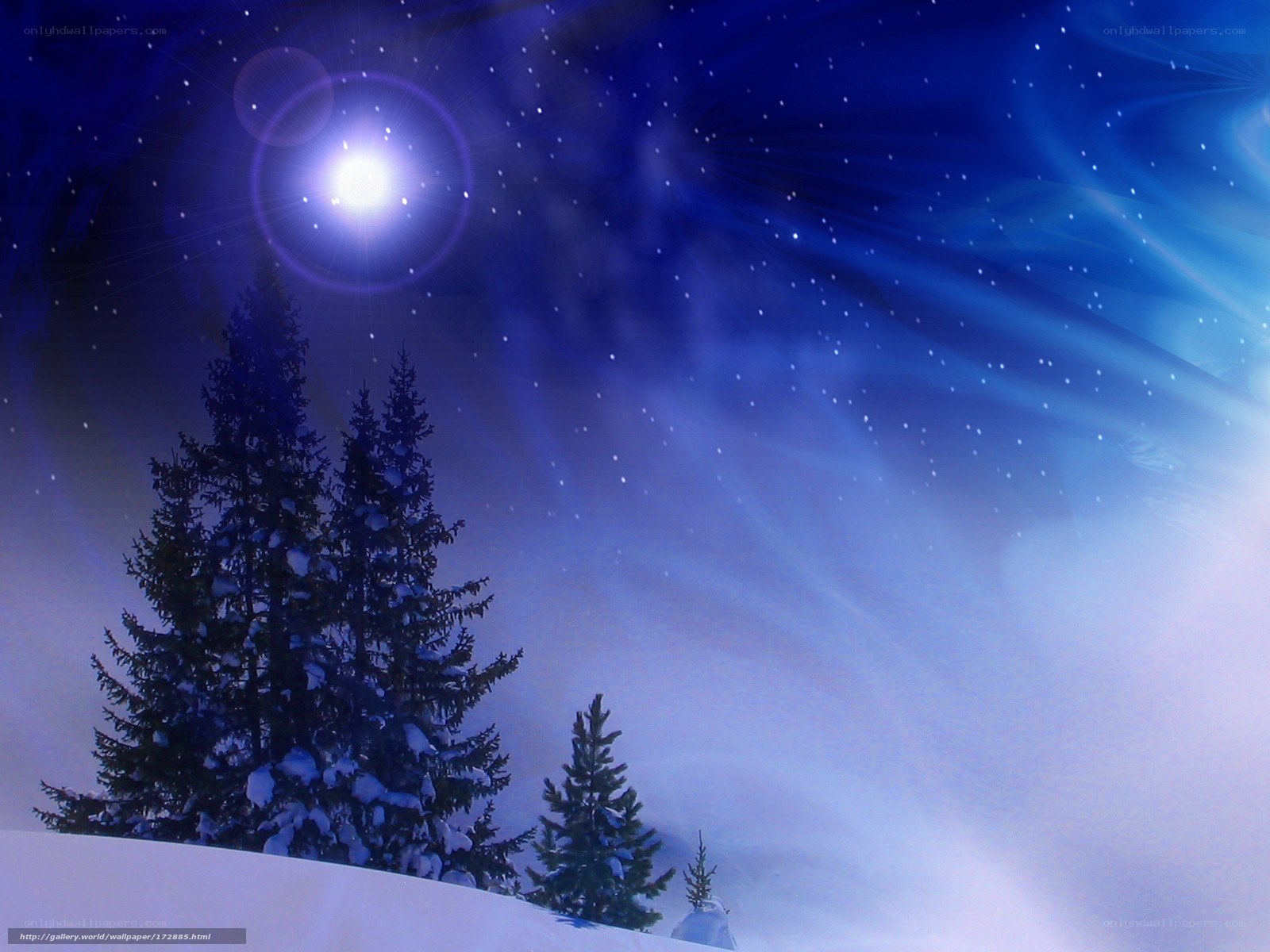 Snowy night with starry sky