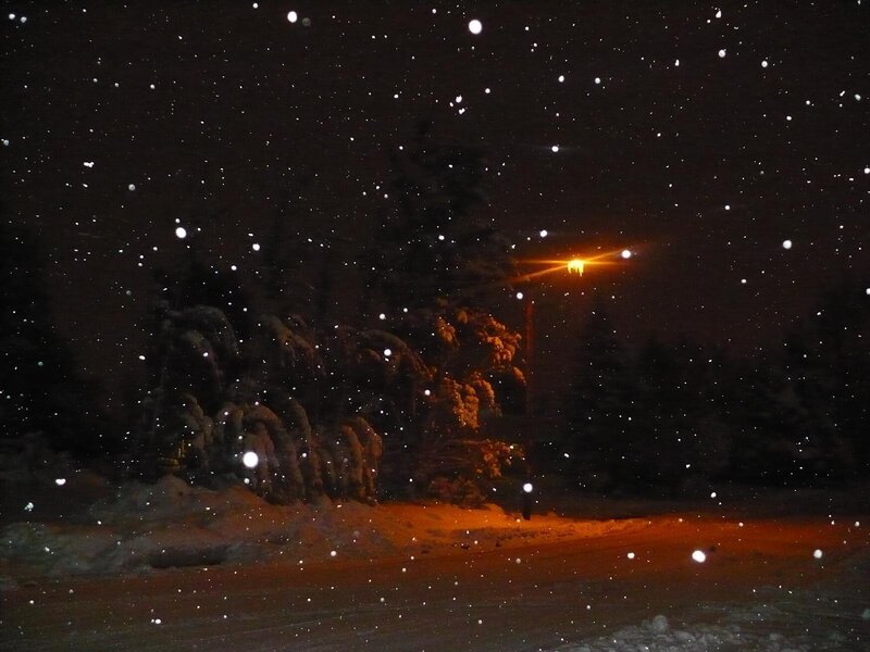 Snowy night with streetlight