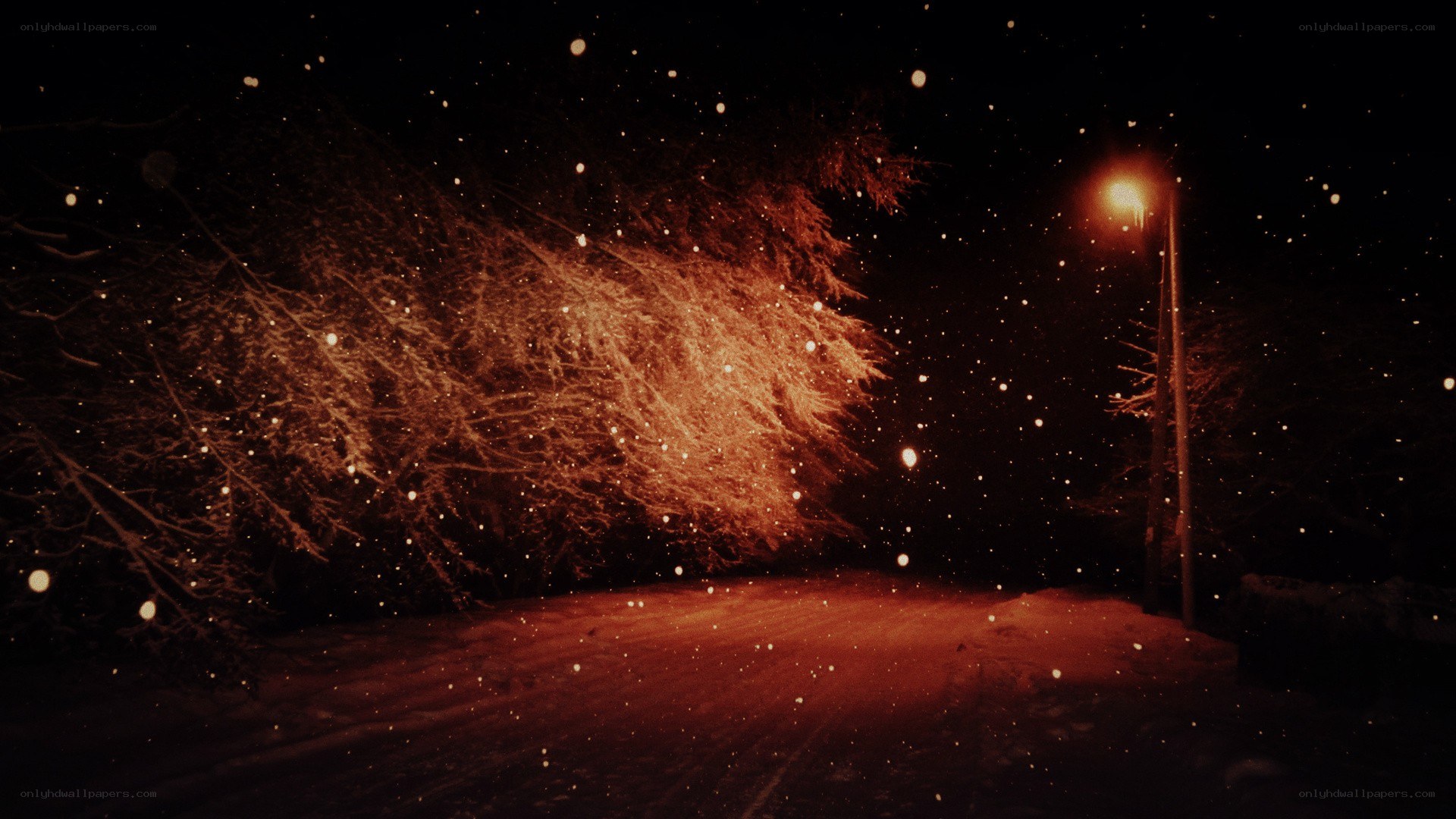 Snowy night with streetlight