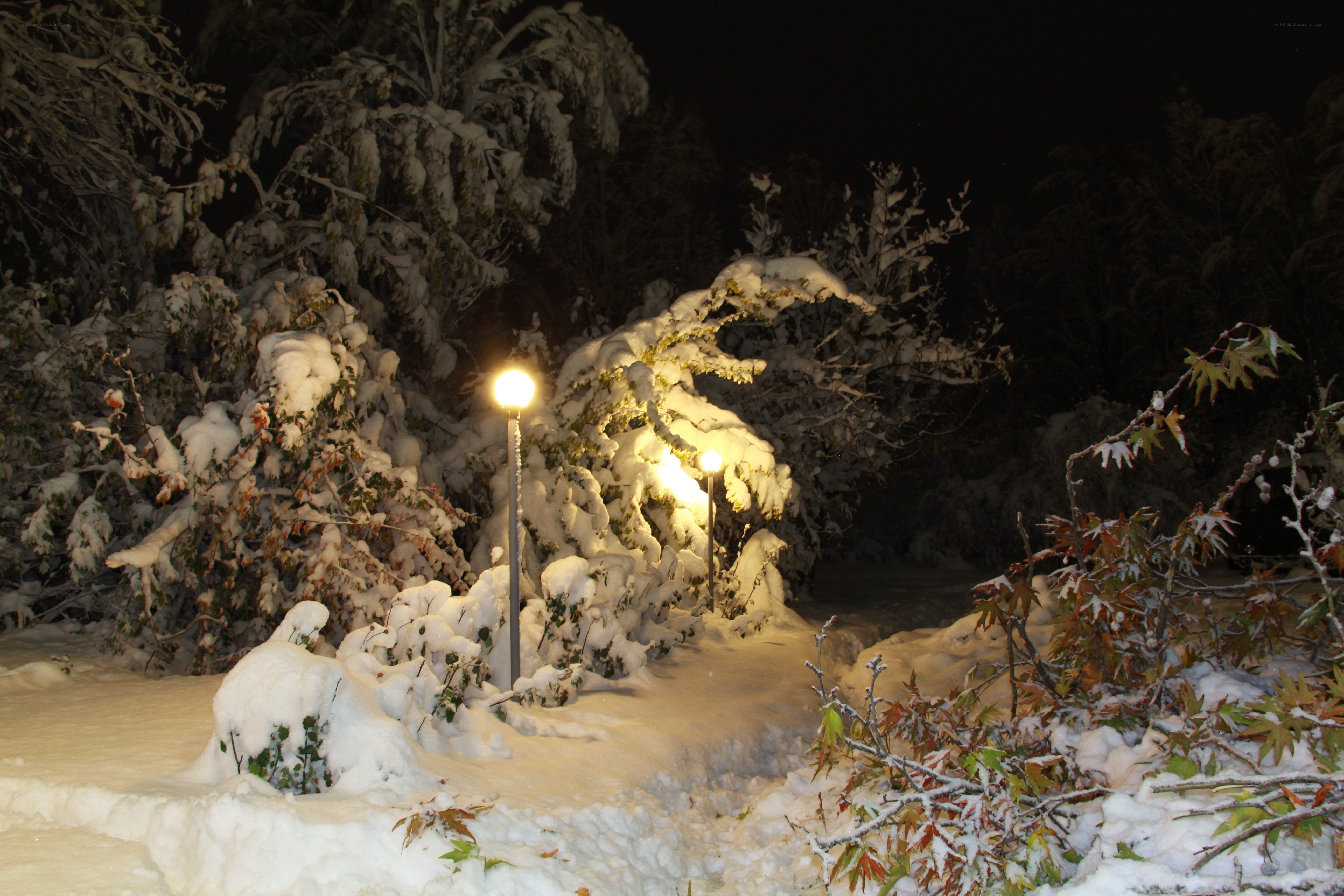 Snowy night with streetlights