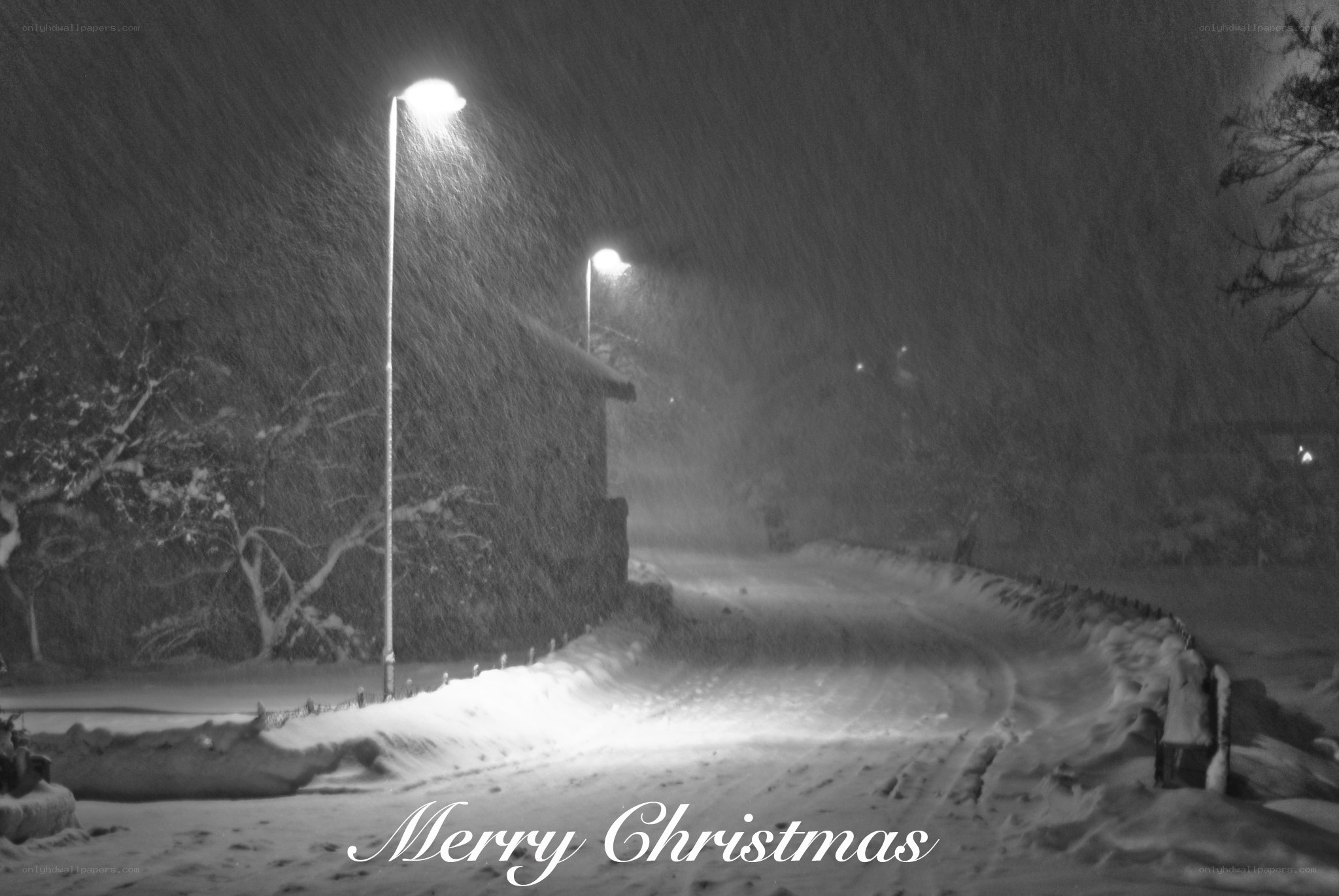 Snowy night with streetlights