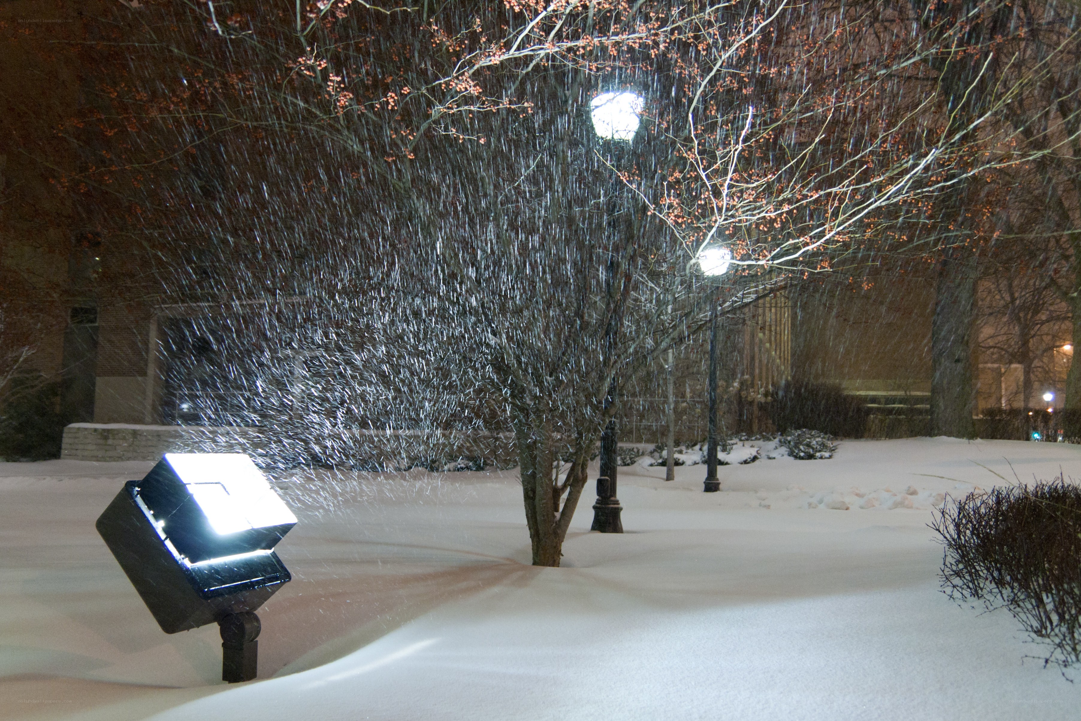 Snowy night with streetlights