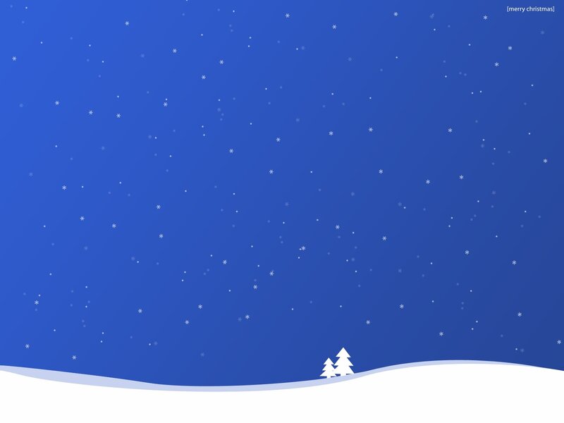 snowy night with trees