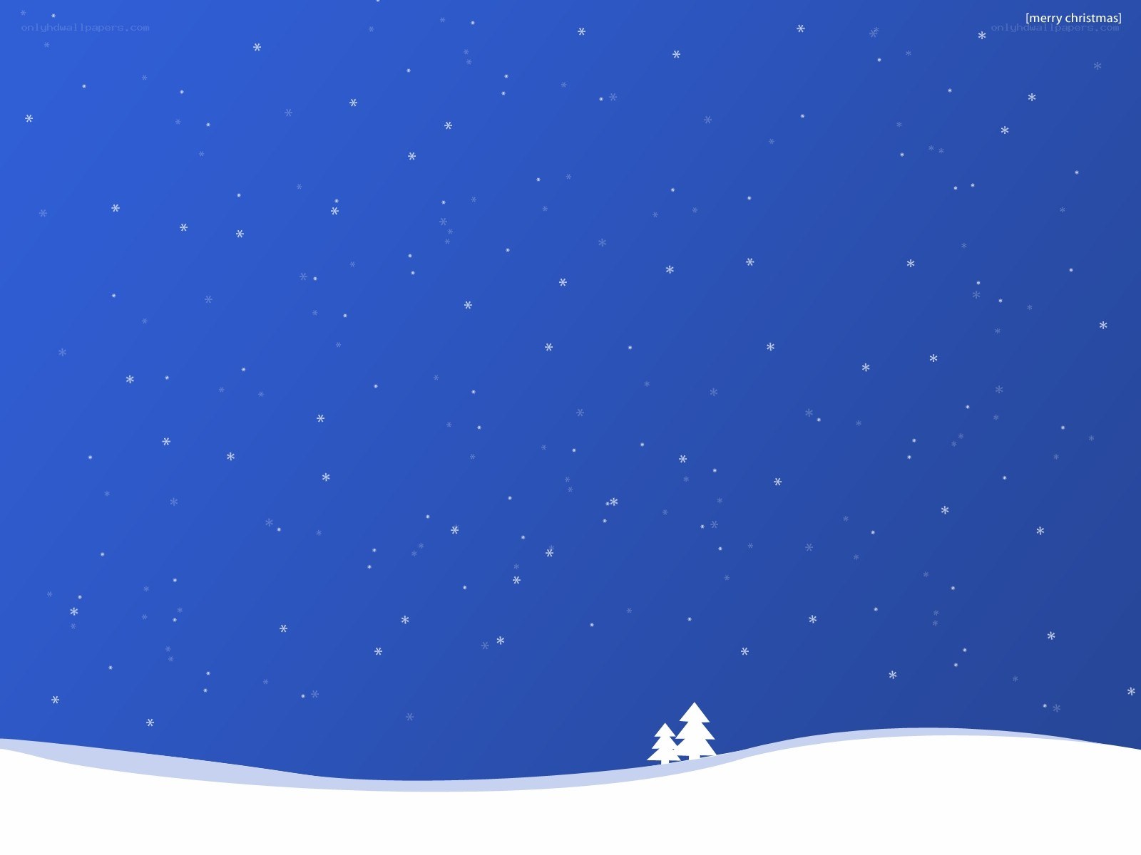 snowy night with trees