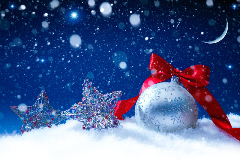 Snowy Ornaments in Snow