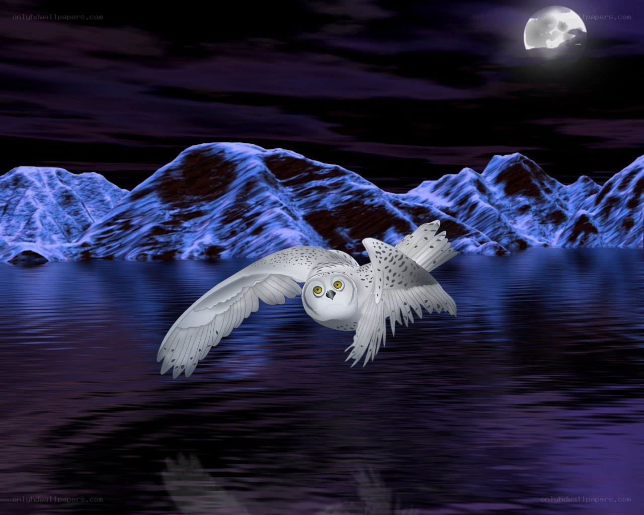 Snowy owl flying over lake