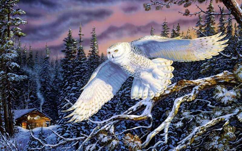 Snowy Owl in Flight — White, Dramatic, Winter, Digital Art