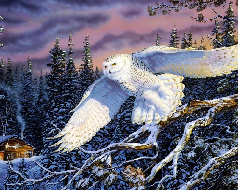 Snowy Owl in Flight — White, Dramatic, Winter, Illustration