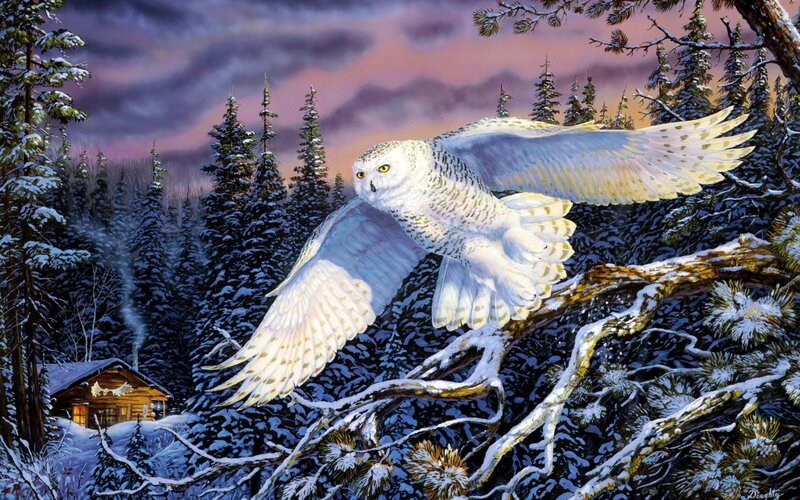 Snowy Owl in Flight — White, Dramatic, Winter, Painting