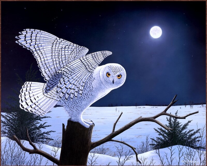 Snowy Owl in Flight — White, Serene, Night