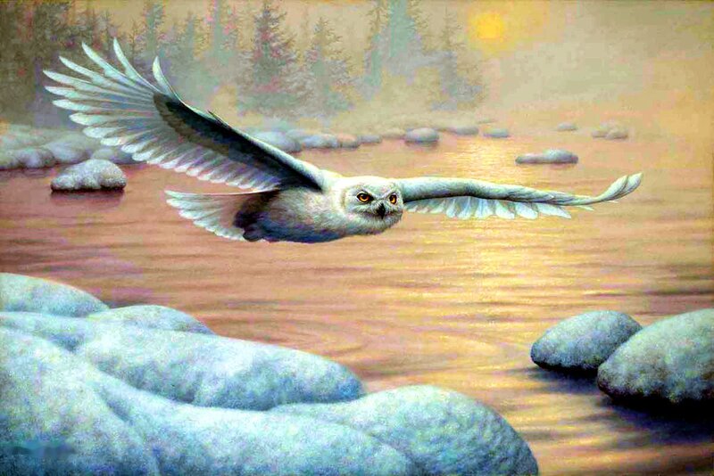 Snowy Owl in Flight — White, Serene, Sunset