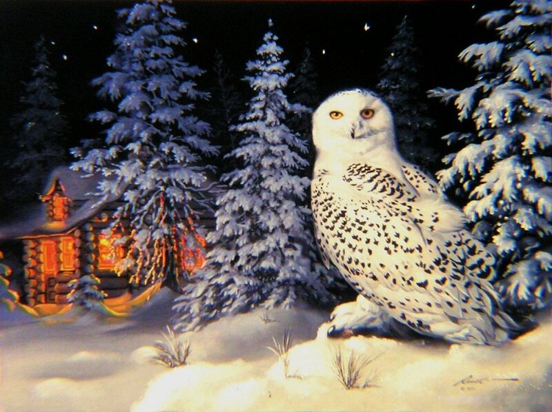 Snowy Owl in Snow — White, Serene, Night