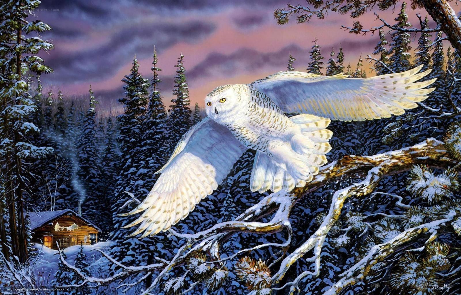 Snowy owl in winter forest