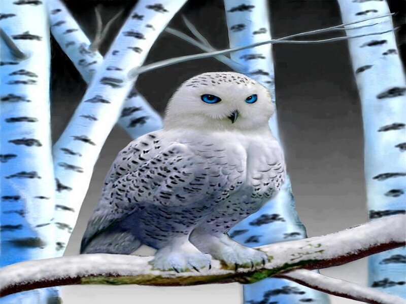Snowy Owl on Branch — White, Serene, Winter, Digital Art