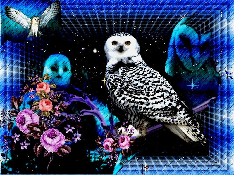 Snowy Owl with Flowers