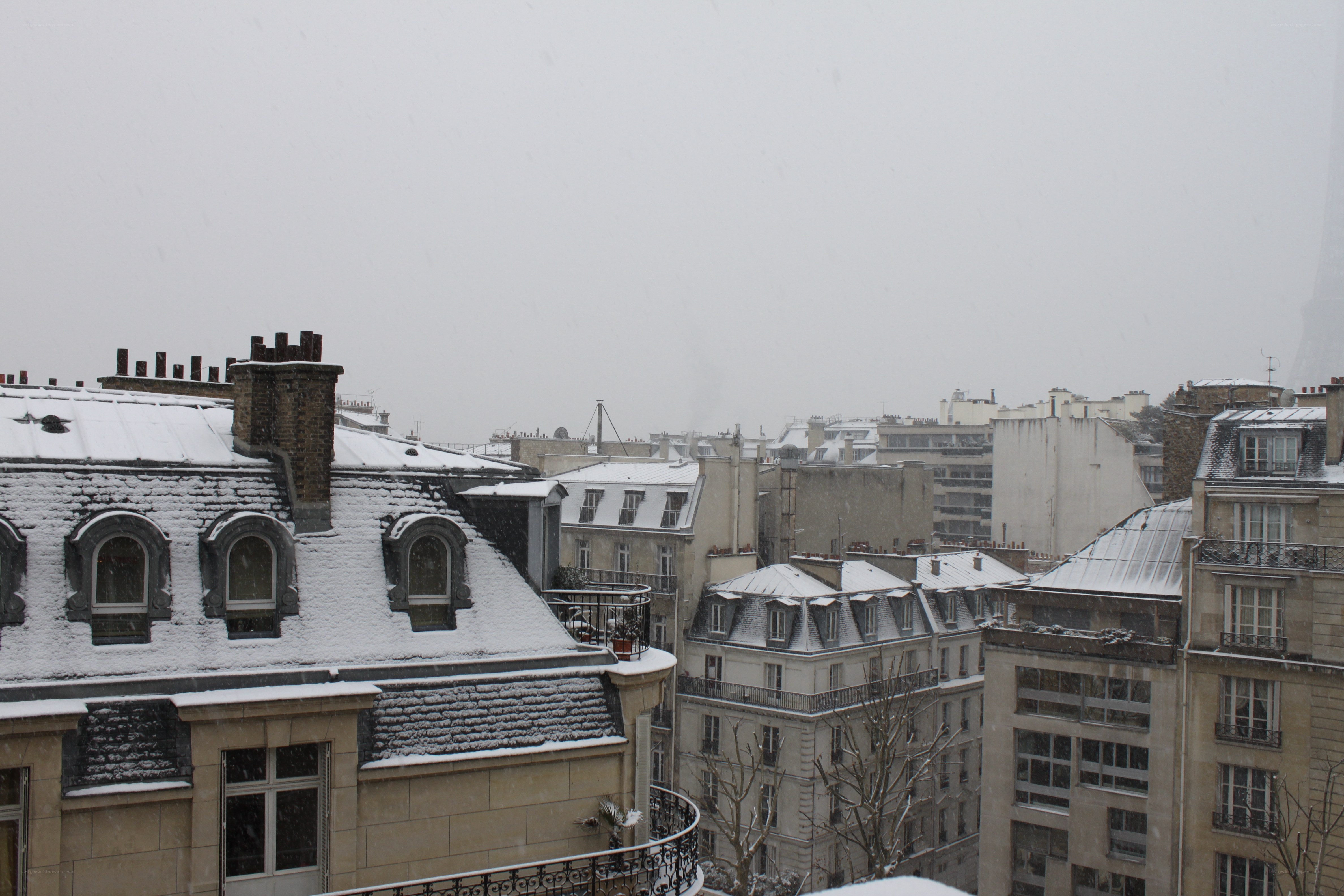 Snowy Paris rooftops