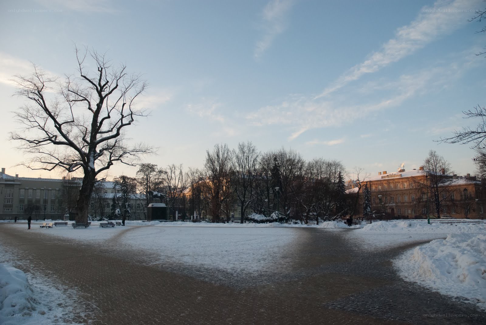 snowy park at dusk