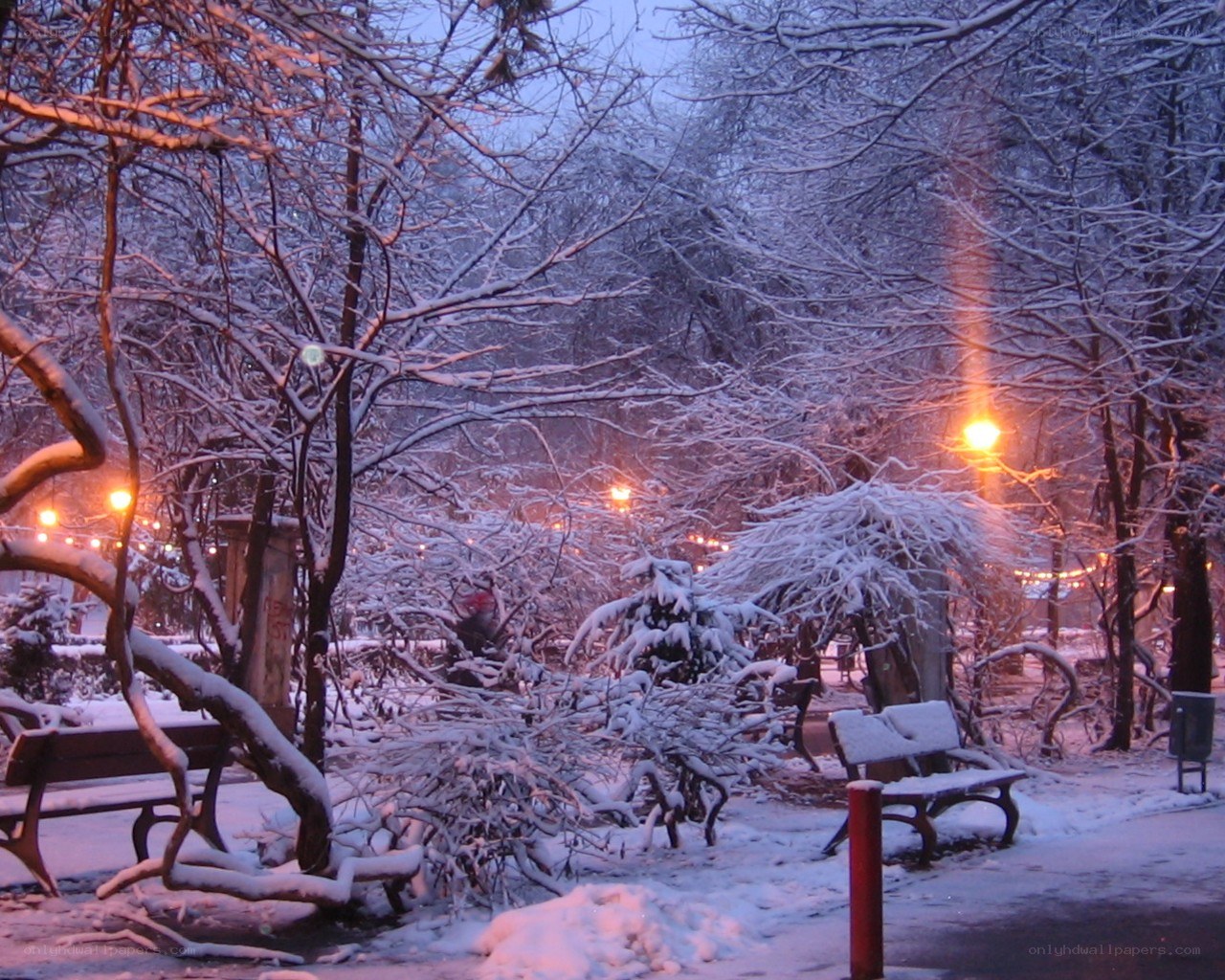 Snowy park at dusk