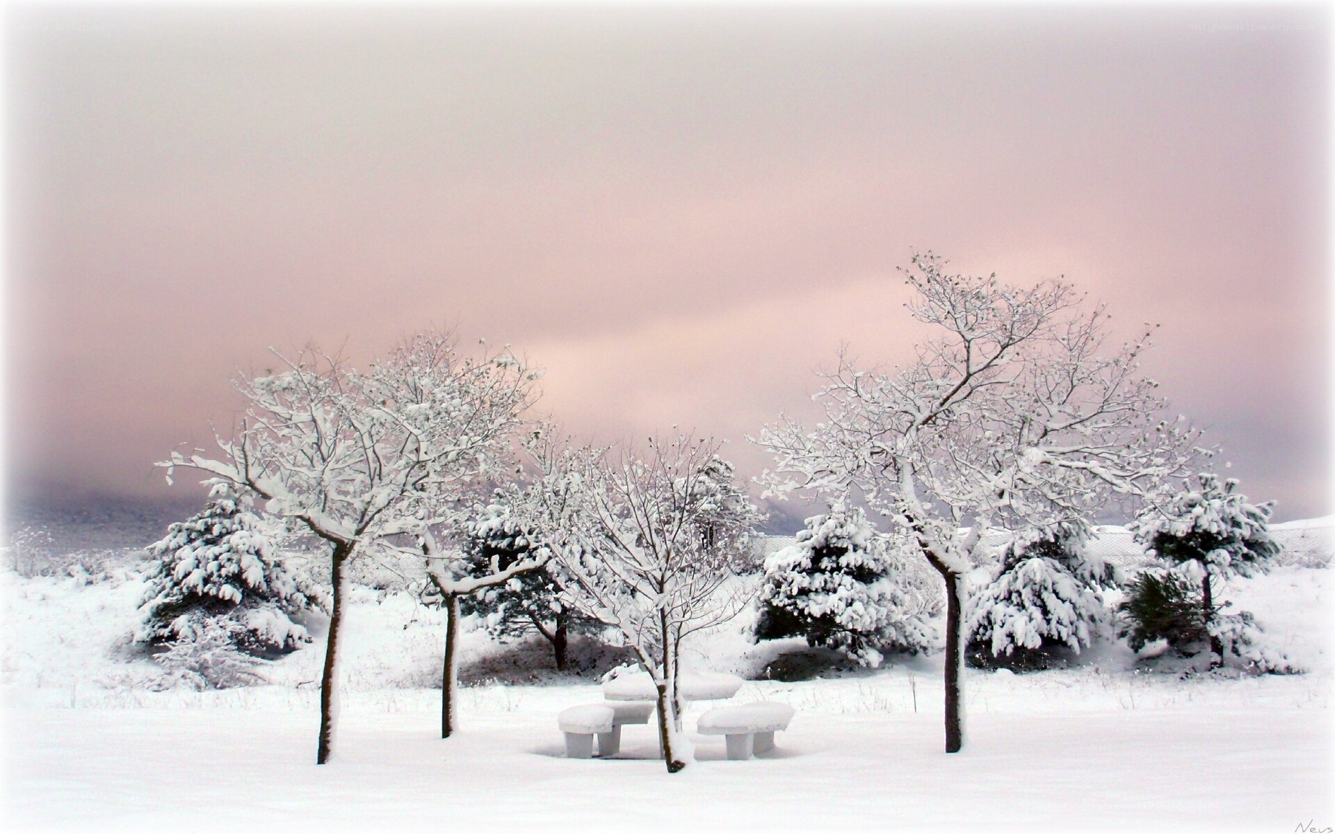 Snowy park at dusk