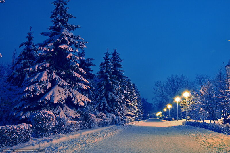 Snowy Park at Dusk