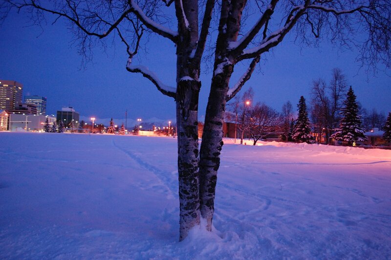 Snowy park at dusk with city skyline