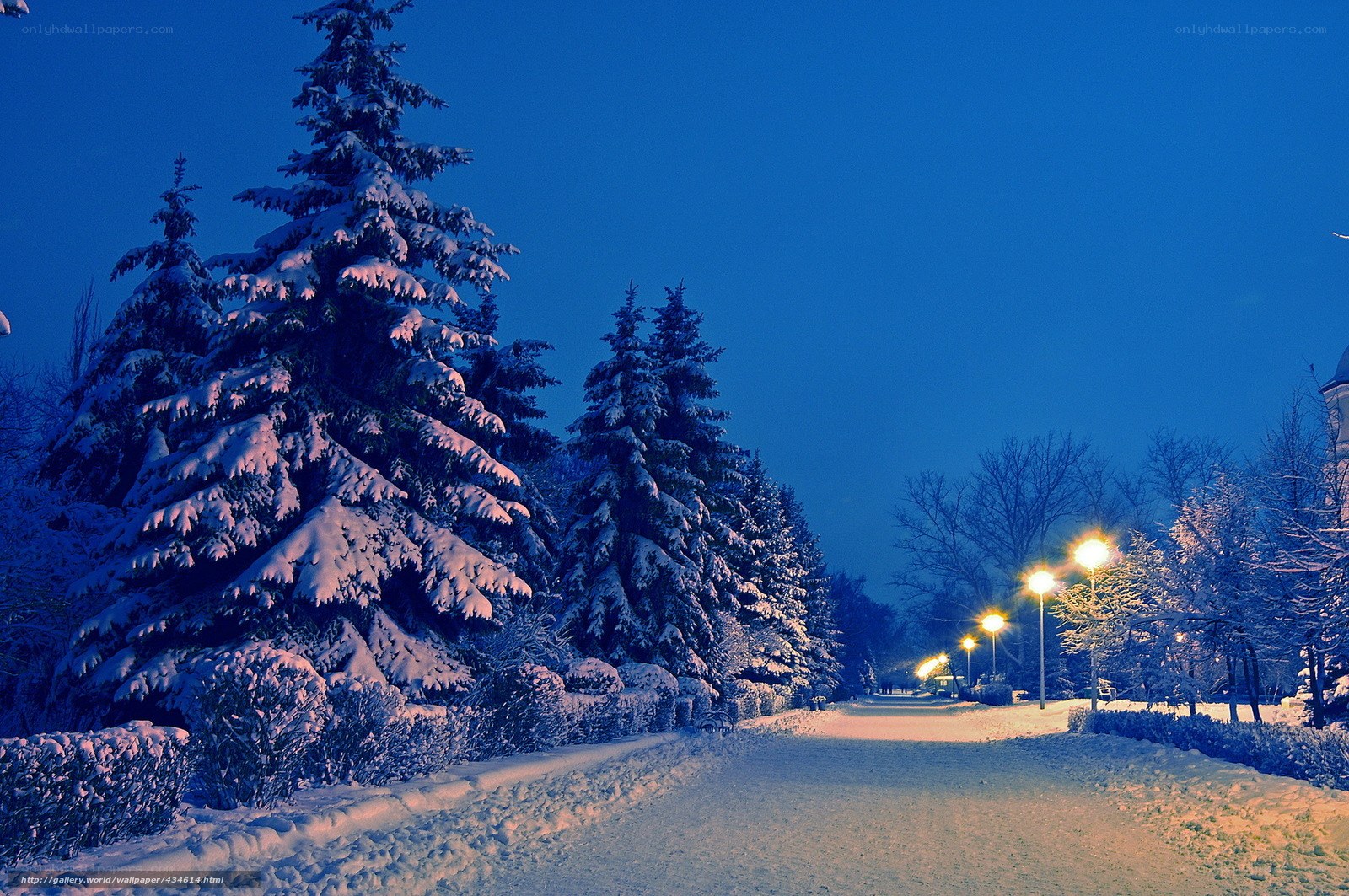 Snowy Park at Dusk