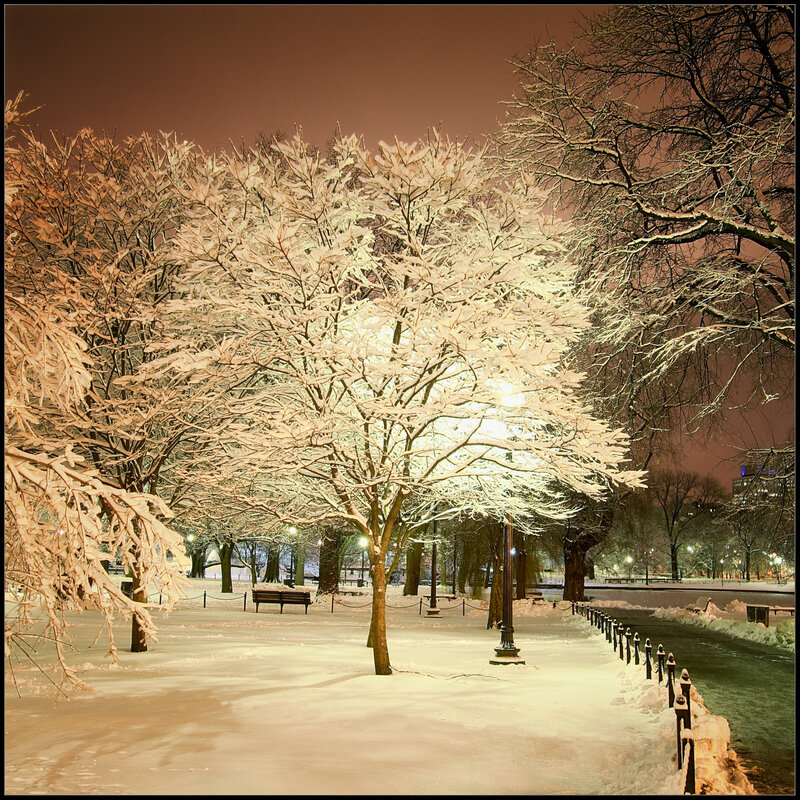 Snowy park at night