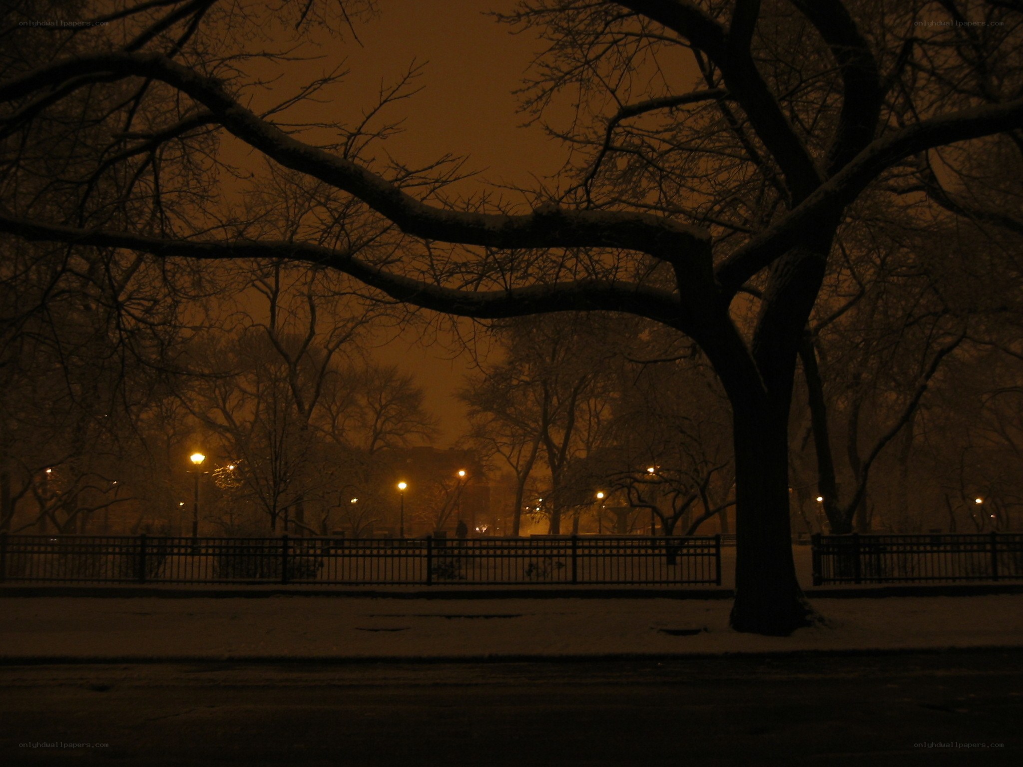 Snowy park at night