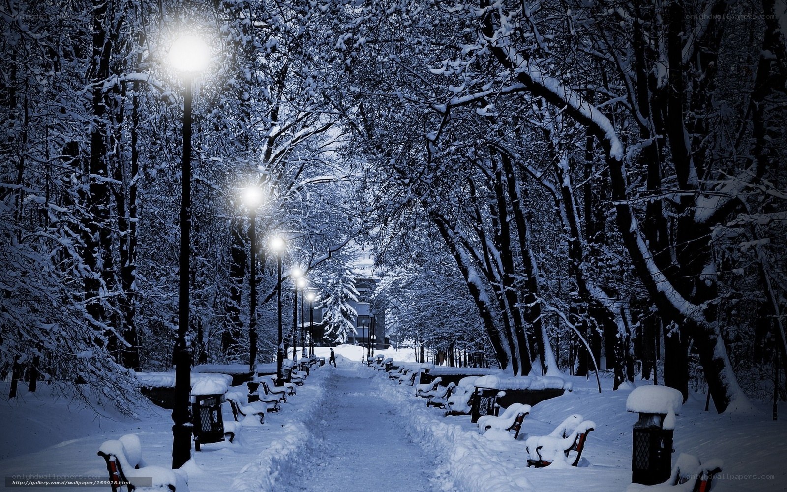Snowy Park at Night