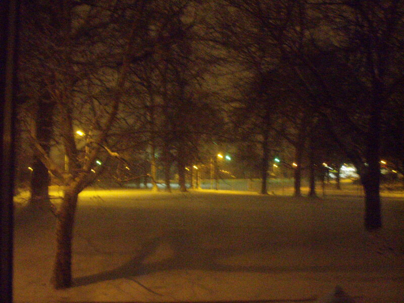 snowy park at night