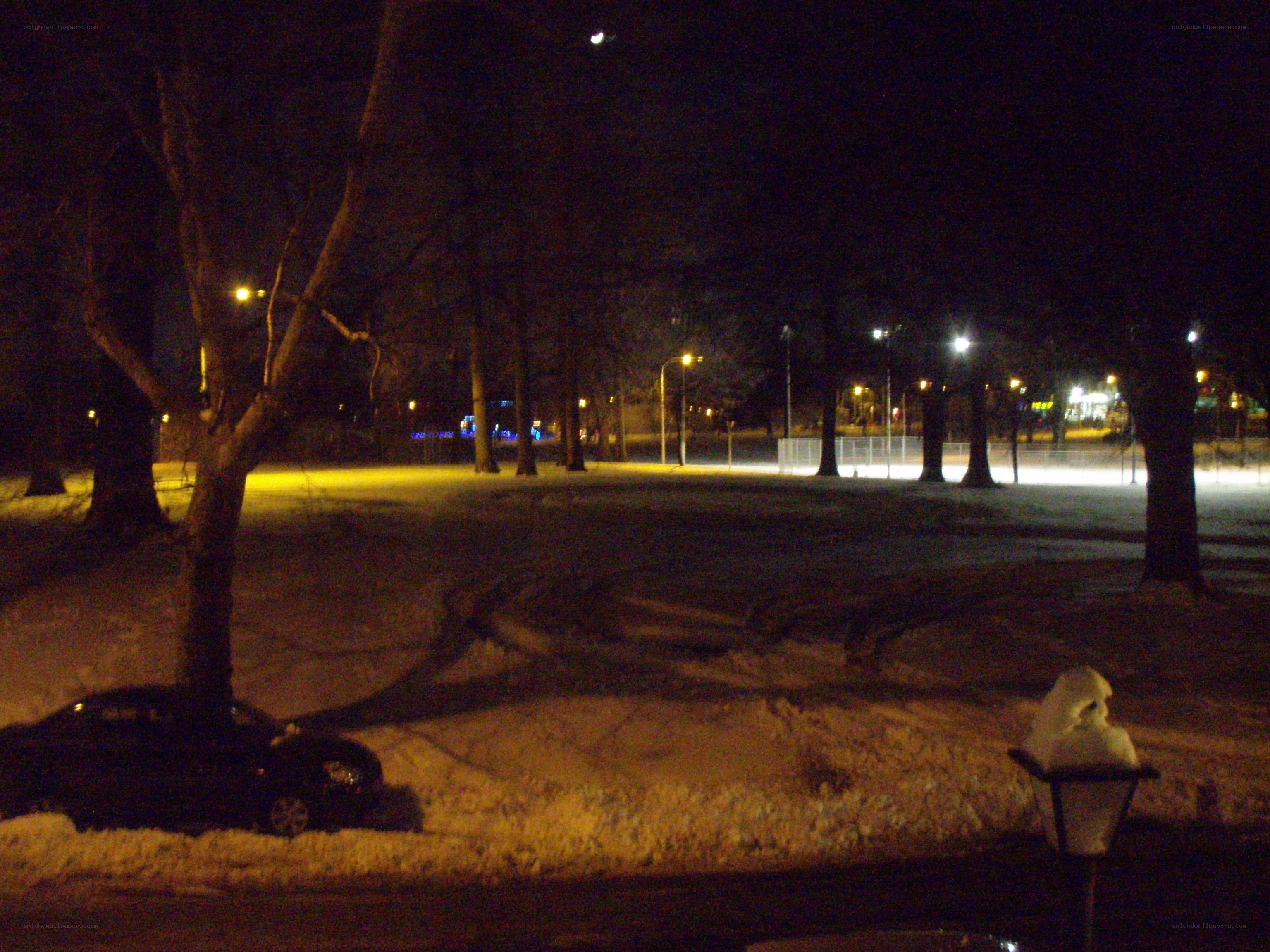 snowy park at night