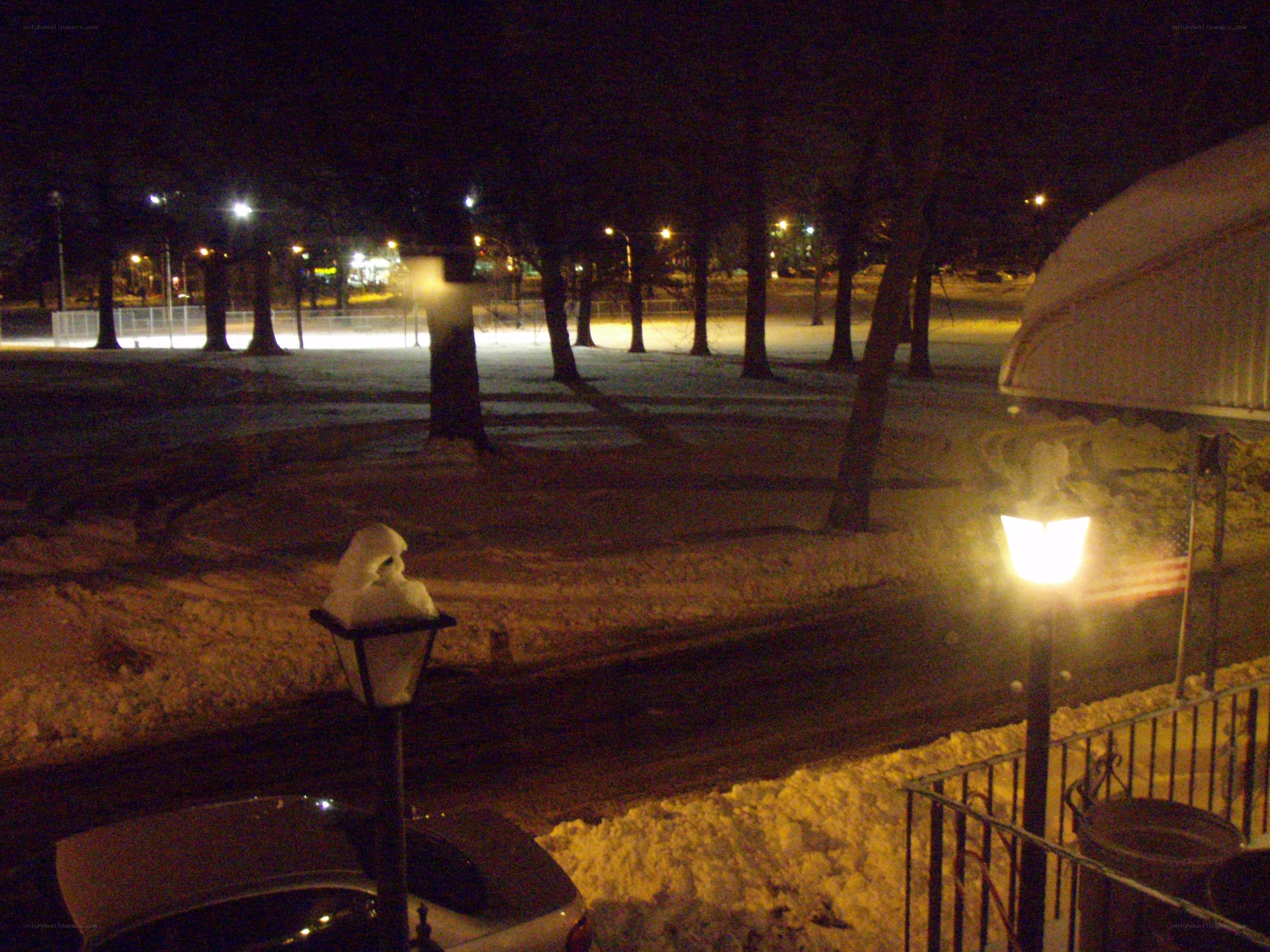 snowy park at night
