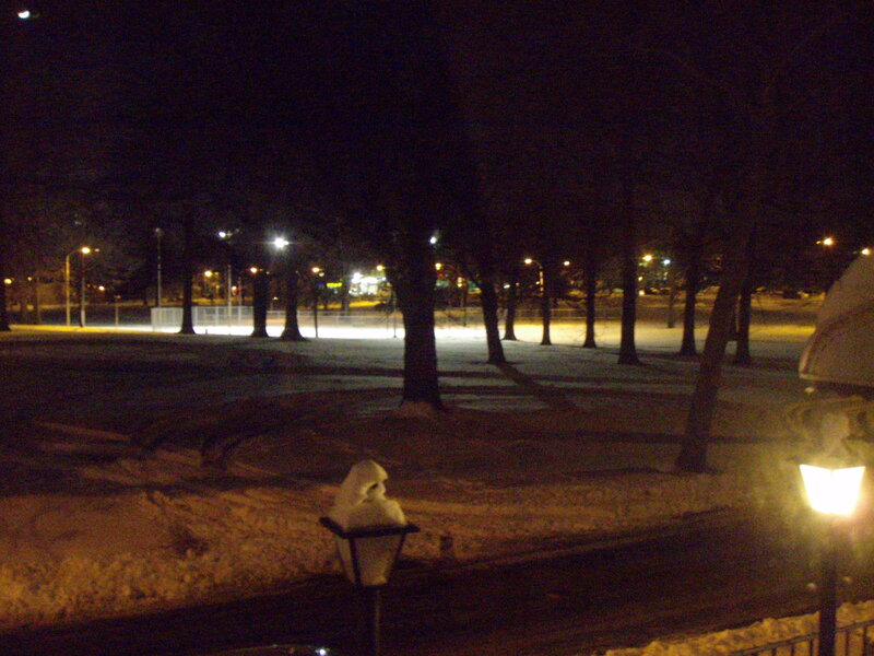 snowy park at night