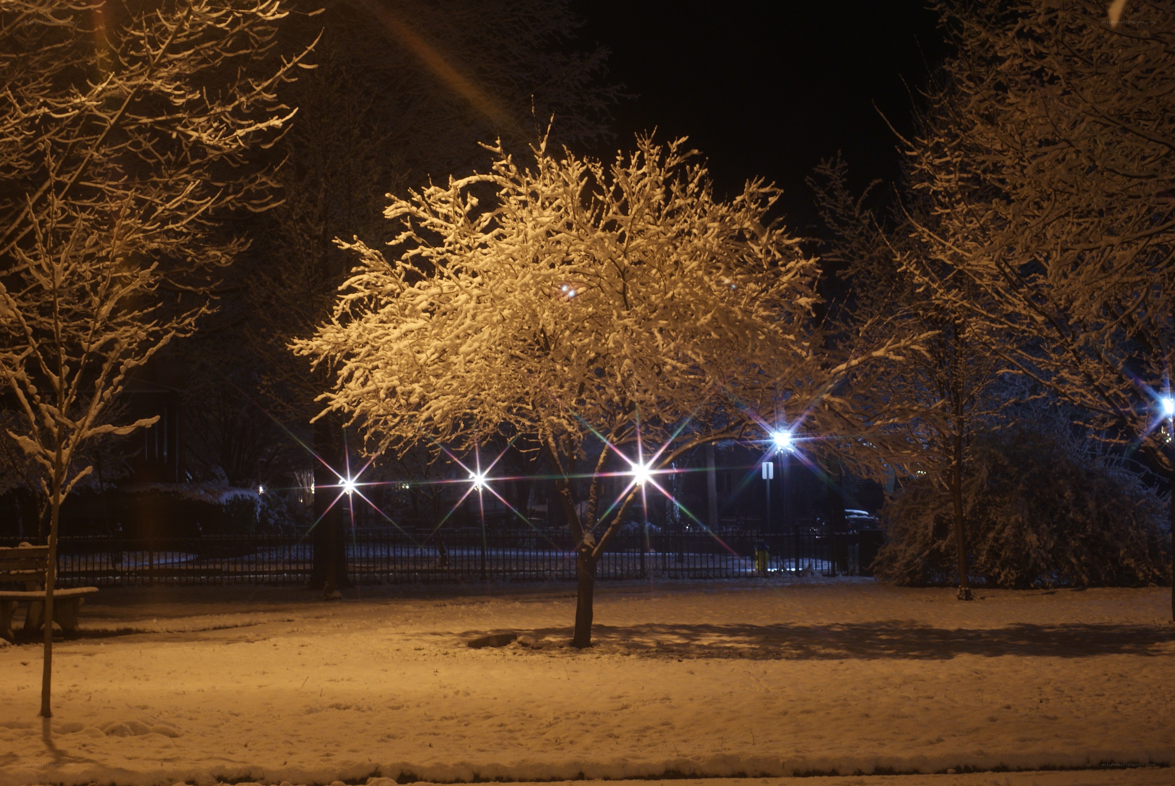 Snowy park at night