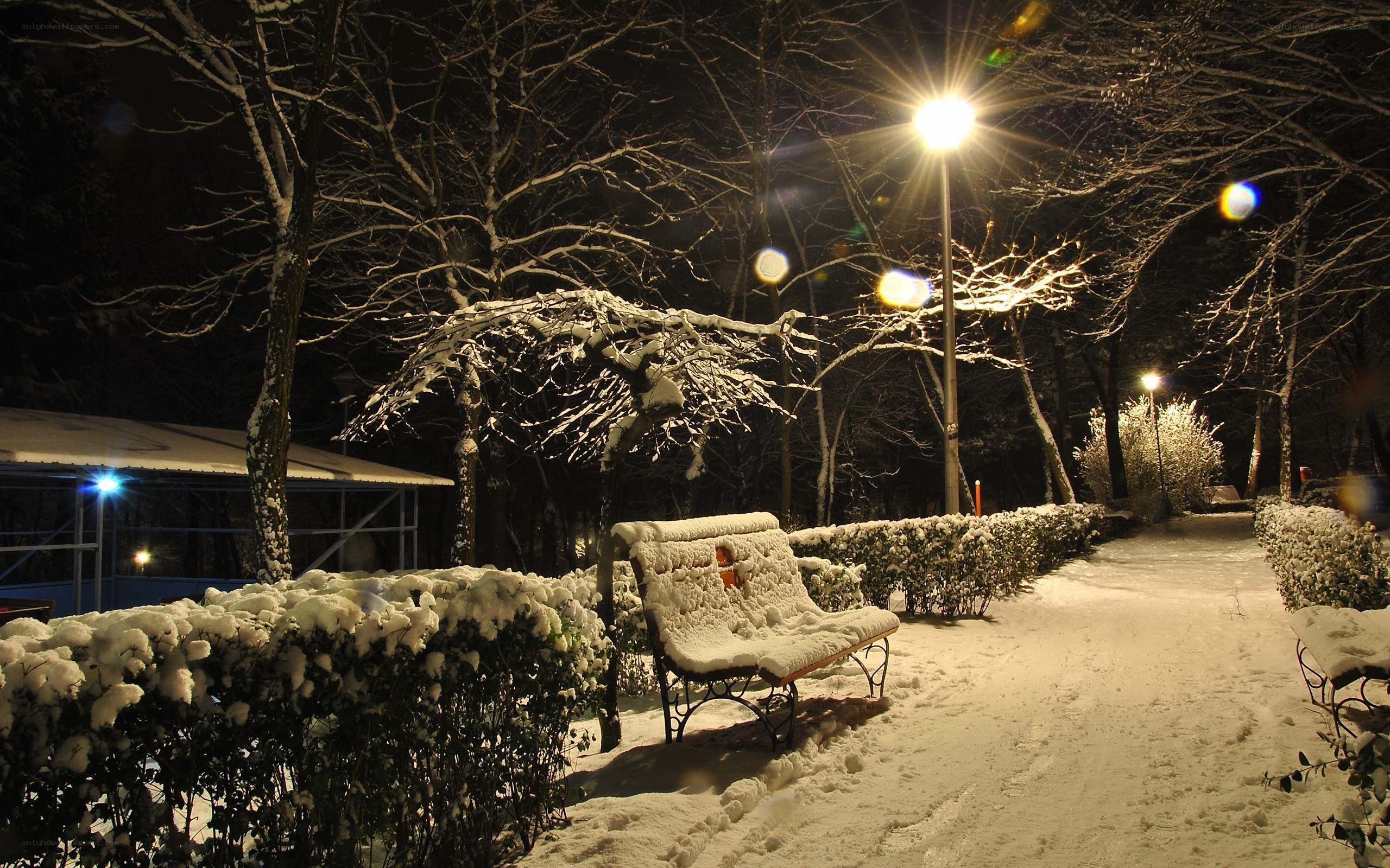 Snowy park at night
