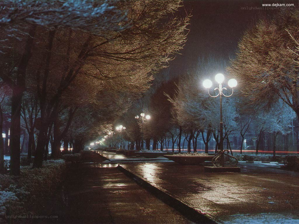 Snowy park at night