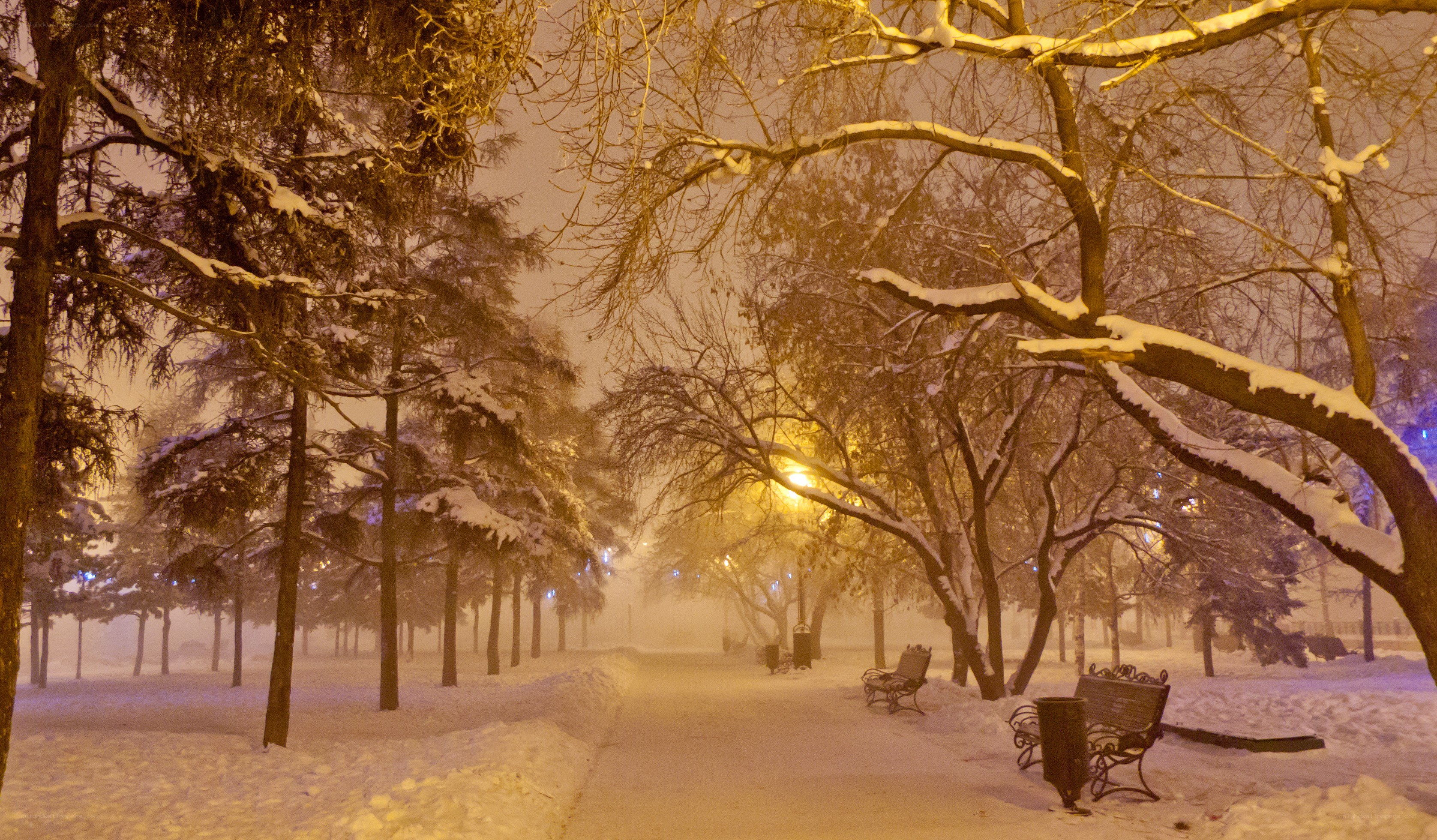Snowy park at night