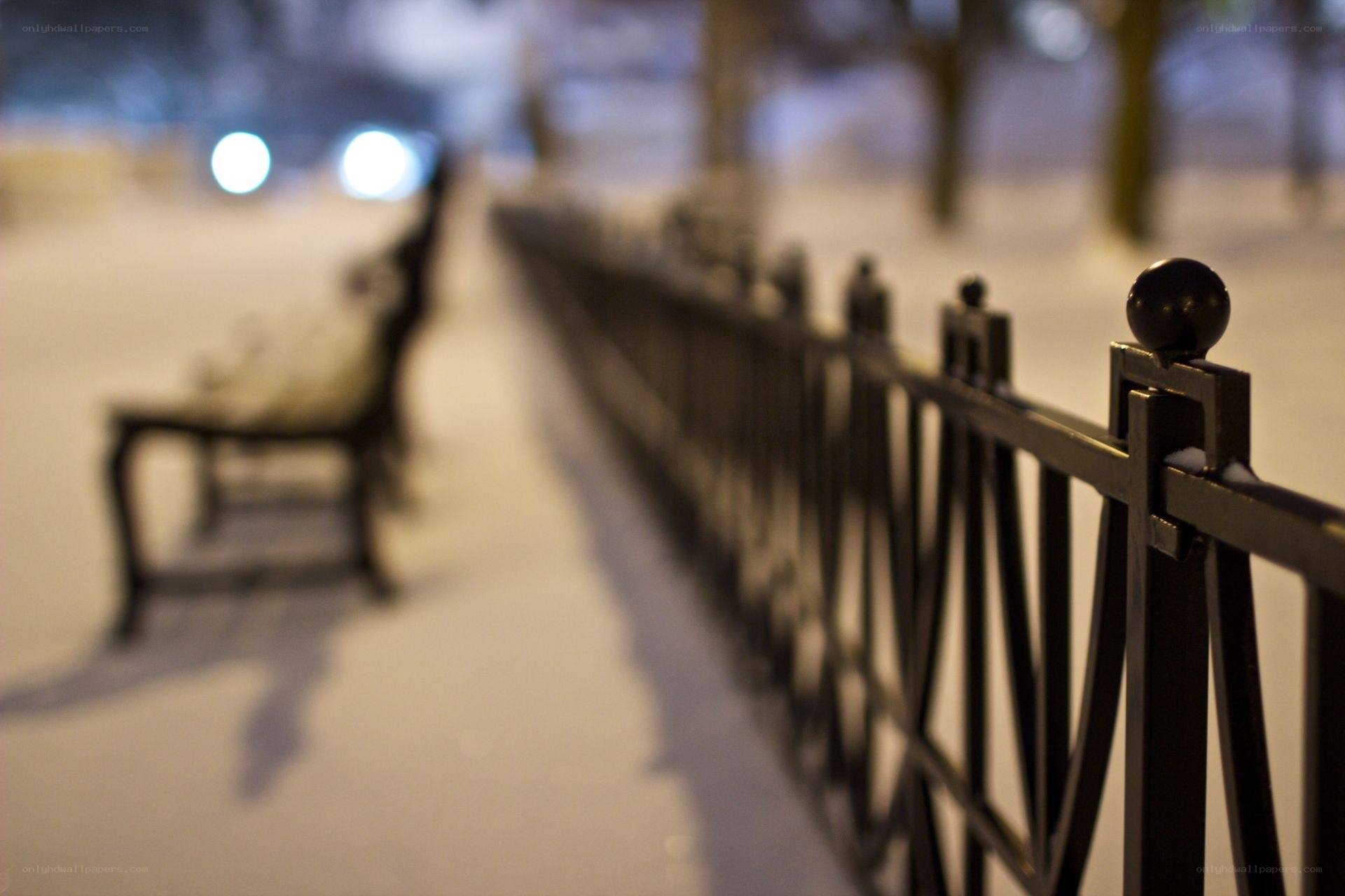 Snowy park at night