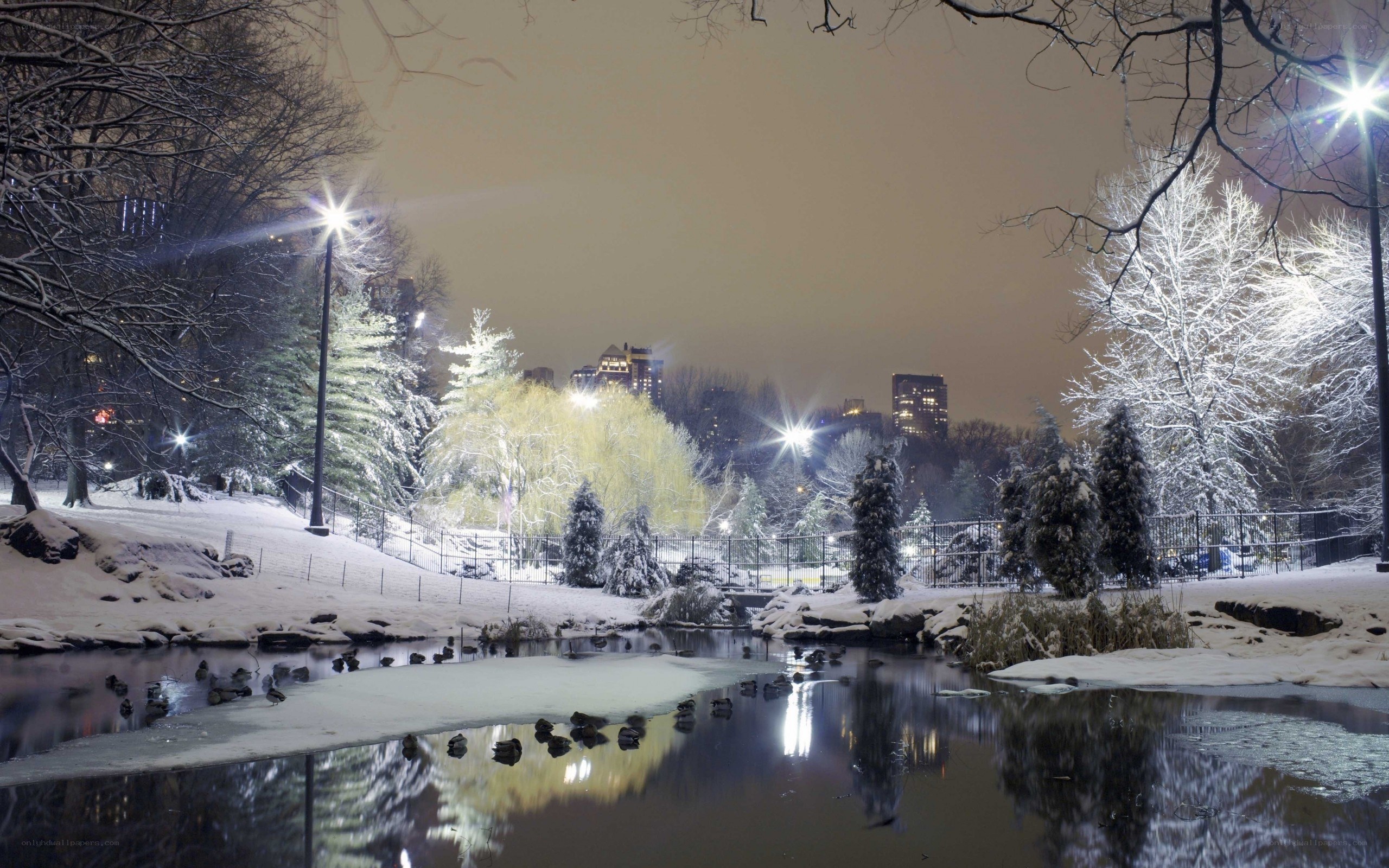 Snowy park at night