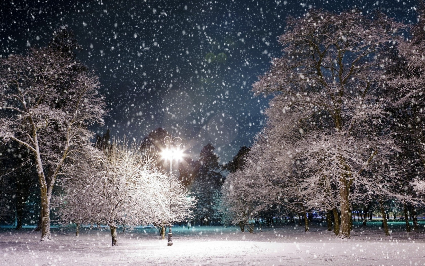 Snowy park at night