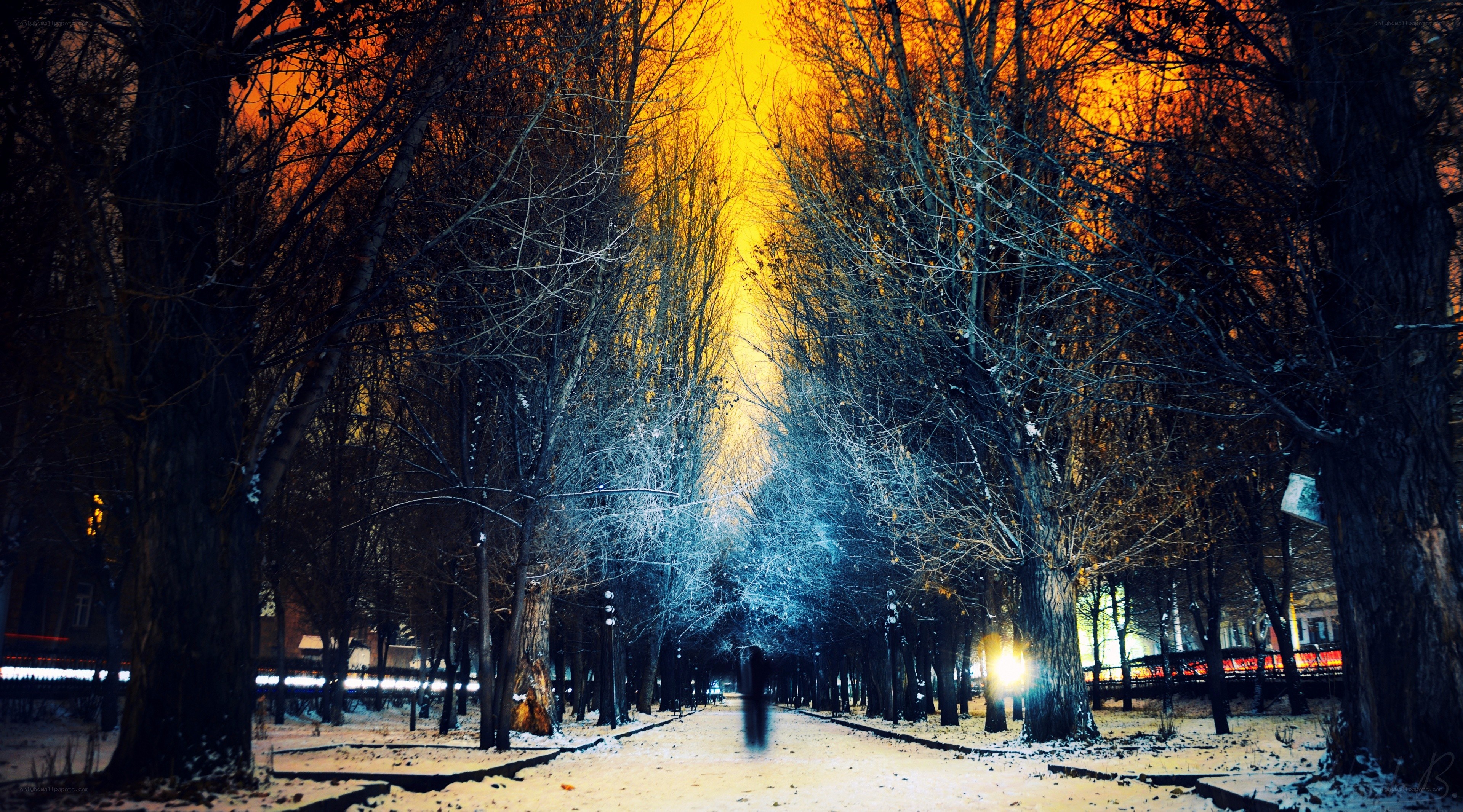 Snowy park at night