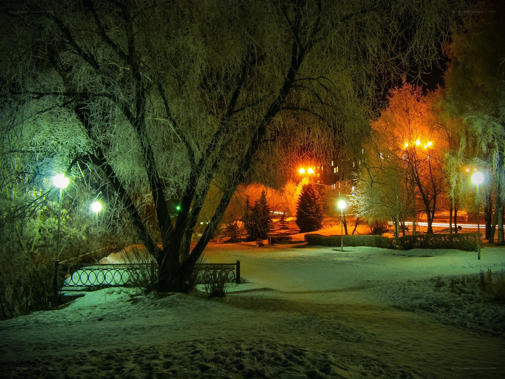Snowy park at night