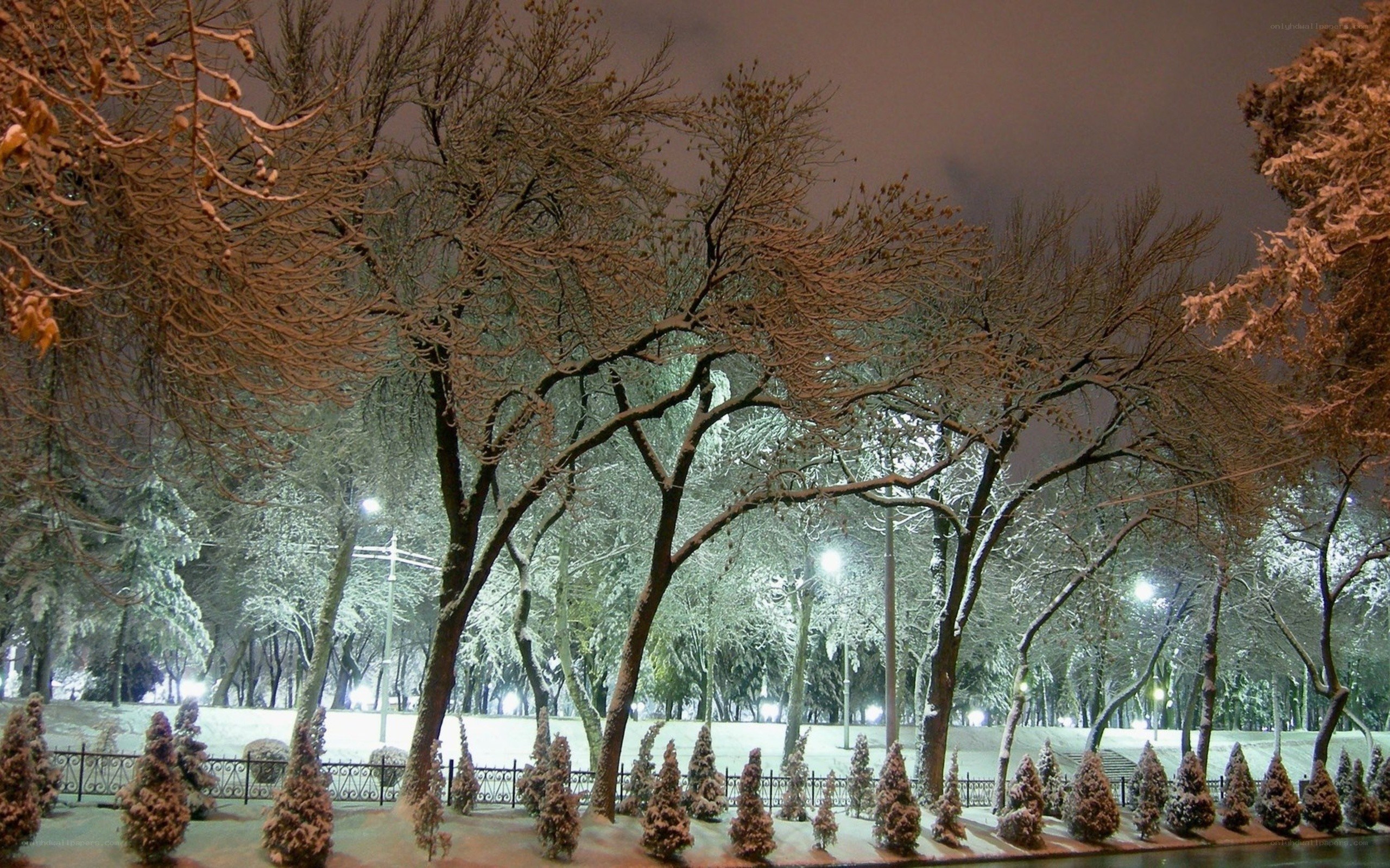 Snowy park at night