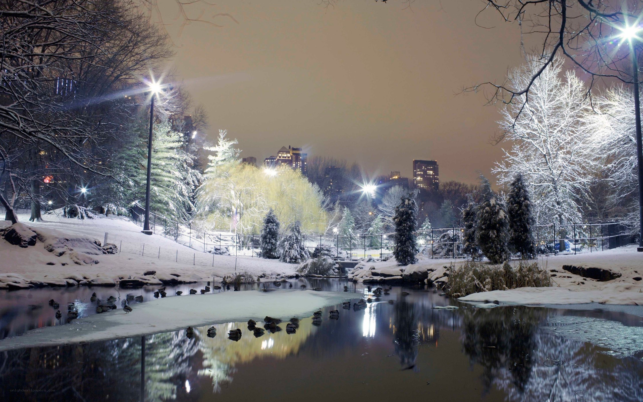 Snowy park at night