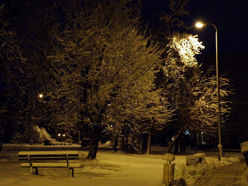 Snowy park at night
