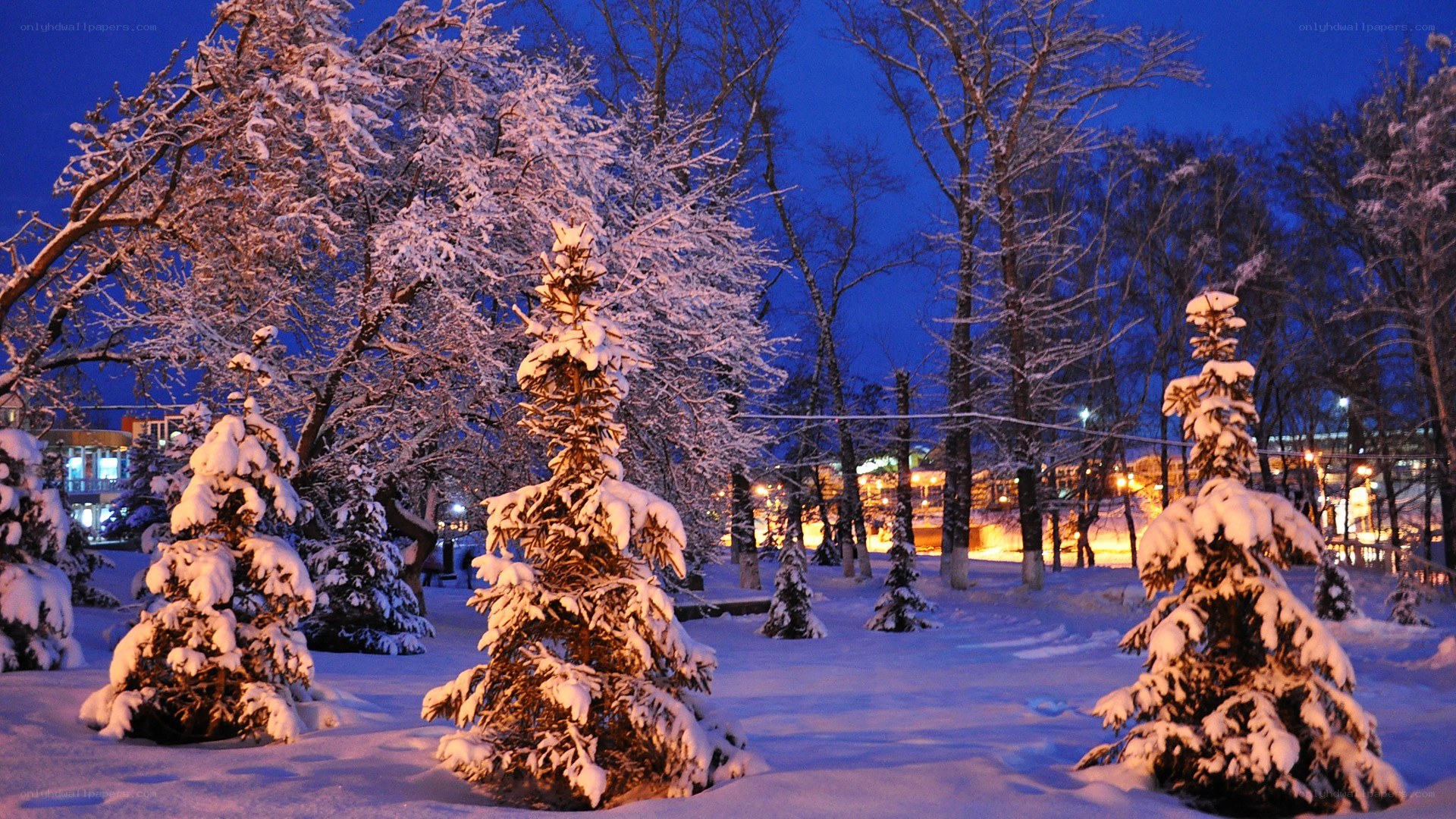 Snowy park at night
